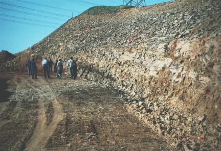 Zechsteinbasis mit Kupferschiefer im Straßeneinschnitt  (Foto Spilker)                           B 180 n bei Großörner (Foto Spilker)