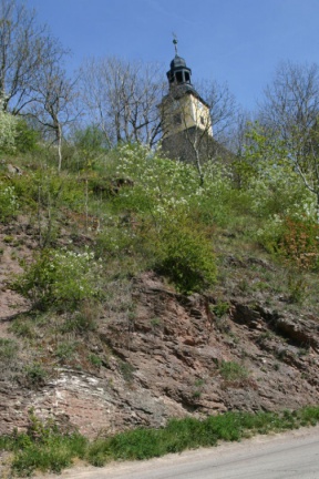 Straßenanschnitt des variszischen Harzgrundgebirges (Foto Dr. S. König) 