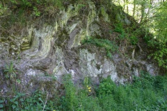 Gefaltete und steilgestellte Gesteine an der Klippmühle (Foto Dr. S. König) 