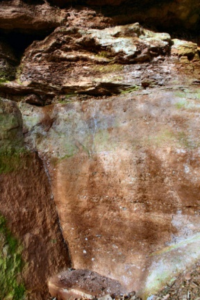 Blättertonschicht im Steinbruch des Neckendorfer Grundes (Foto Dr.S.König) 