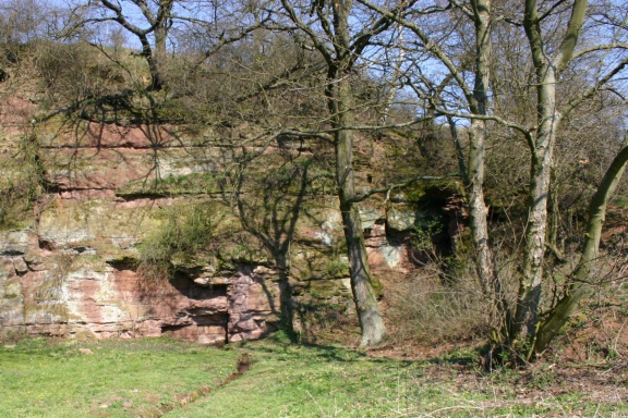 Westlicher Steinbruch mit austretender Quelle Foto (Foto Dr. S. König) 