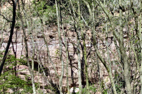 Steinbruch Stockbachtal (Großörner) (Foto Dr. S. König – 2007)