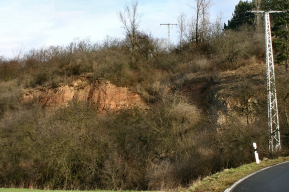 Blick von Süden auf den Steinbruch Friedeburgerhütte (Foto Dr. S. König – 2007) 