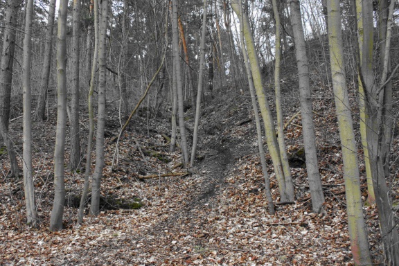 Anstehende Sandsteine am Geotop Ölgrund Wiederstedt (Foto Dr. S. König) 