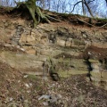 Wand des Steinbruches mit Aufschlussprofil (Foto Dr. S. König) 