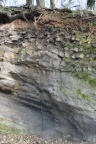 Wand des Steinbruches mit Profilanschnitt (Foto Dr. S. König) 