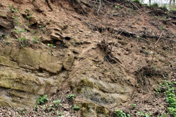 Verwerfung mit Spaltenbildung (Foto Dr. S. König) 