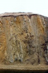 Detailaufnahme der steilgestellten Schichtenfolge des Unteren Muschelkalkes (Foto Dr. S. König) 