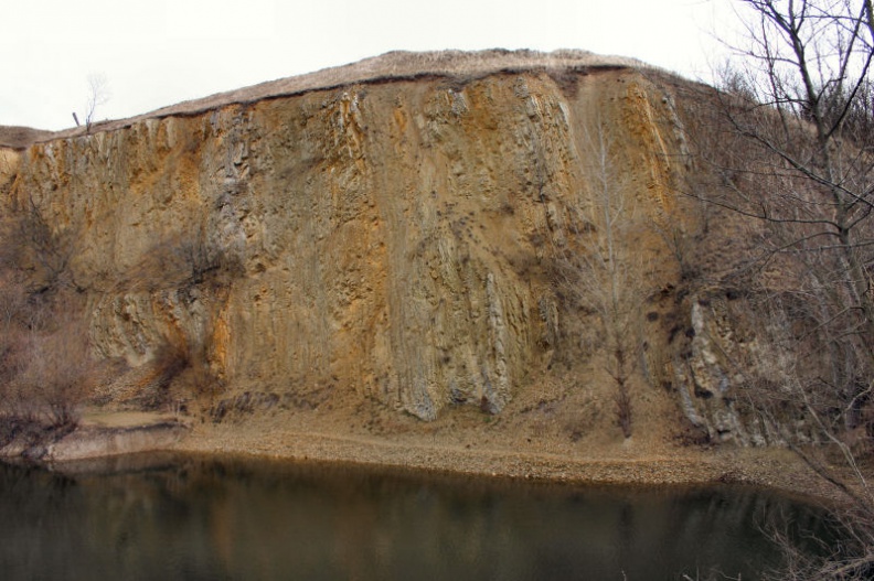 Blick auf die Ostwand des Steinbruches Kuckenburg (Foto Dr. S. König) 