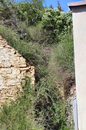 Hanganschnitt Gerbstedt - Bild 1 (Foto Dr. S. König)