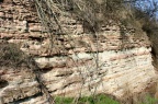 Geotop Steinmühle Polleben - Detailaufnahme (Foto Dr. König) 