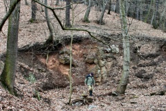 Ansicht der Bruchwand des südlichen Steinbruches (Foto Dr. S. König) 