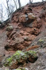 Detailaufnahme der südlichen Bruchwand des Gipssteinbruches (Foto Dr. S. König) 