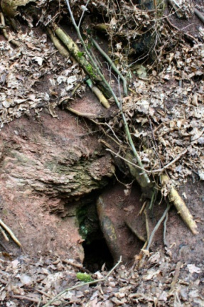 Spalte im Gips (Foto Dr. S. König) 