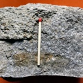 Rogensteinplatte aus dem Steinbruch Lengefeld (Foto Dr. S. König - 2007) 