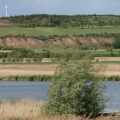 Nördlicher Uferböschung Salziger See (Foto Dr. S. König – 2007) 