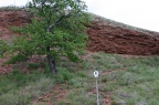 Ausschilderung Naturschutzgebiet Nordufer Salziger See ( Foto Dr. S. König – 2007)