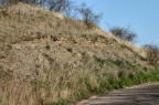 Geotop Wormsleben - anstehende Gesteine (Foto Dr. König) 