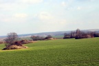 Haldenlandschaft nordwestlich von Wiederstedt (Foto Dr. S. König) 