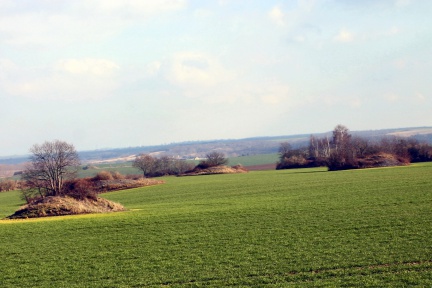 Haldenlandschaft nordwestlich von Wiederstedt (Foto Dr. S. König) 