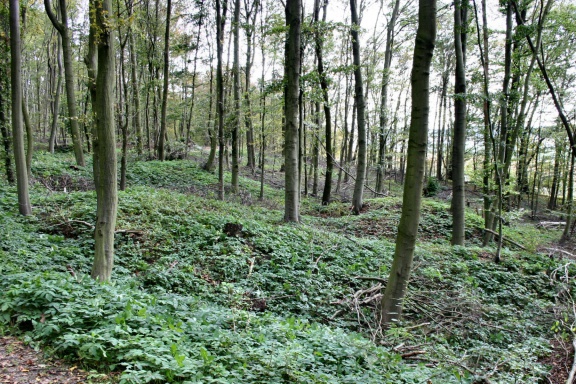 Pingenlandschaft Sittichenbach (Foto Dr. S. König – 2007) 