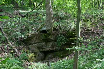 Felsenklippe im Topfsteingrund (Foto Dr. S. König – 2007)