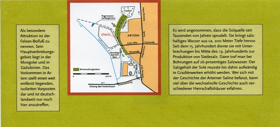 Informationstafel Sole Stadtgebiet Artern (Foto Dr. S. König) 