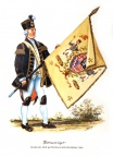 1769 - Fahnenträger