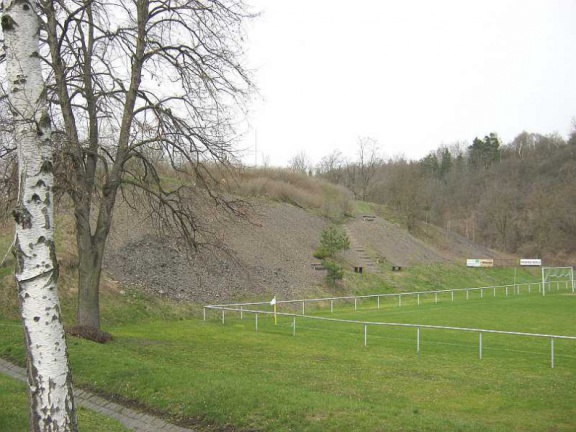 Halde des Erdmannschachtes in Wimmelburg im Jahr 2013 (Foto G. Roswora)