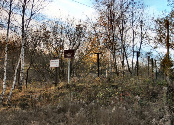 Bereich der verwahrten Schachtröhre des von-Hövel-Schachtes (Foto Dr. König)