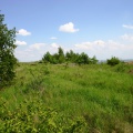Clotildeschacht - bepflanztes Plateau der Südhalde (Foto Dr. S. König)