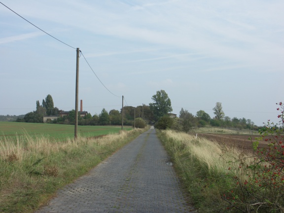 Straße zum Wachler- und Dittrichschacht (Foto Sauerzapfe)