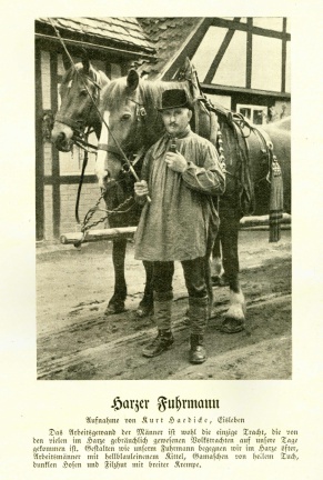 Harzer Fuhrmann