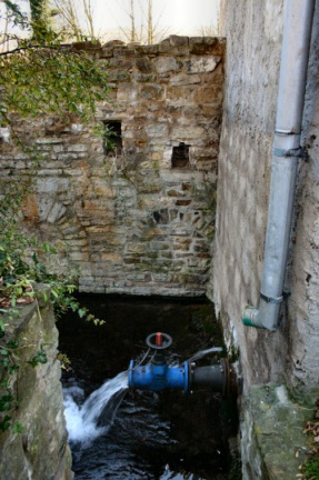 Wasserauslauf vom Wiederstedter Stollen und vom Mühlgraben (Foto Dr. S. König) 