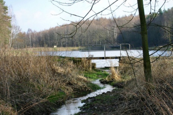 Zulauf des Ölgrundteiches in Wiederstedt  (Foto Dr. S. König) 