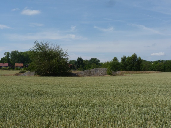 Histor Kupferschiefer Halden im Hirschwinkler Revier(1) - Kopie