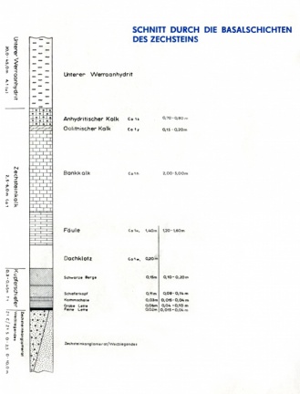 Schnitt Zechstein