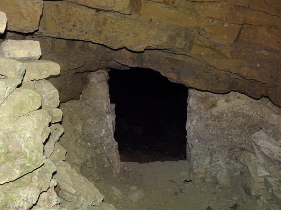 Stolleneingang am Dinsterbachtal  (Foto: Dr. P. Sauerzapfe - September 2019