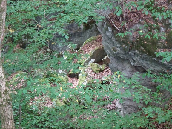 Die Dinsterbachschwinde  (Foto: Dr. P. Sauerzapfe - September 2019