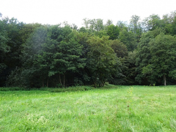 Am Mundloch des  Erbstollens