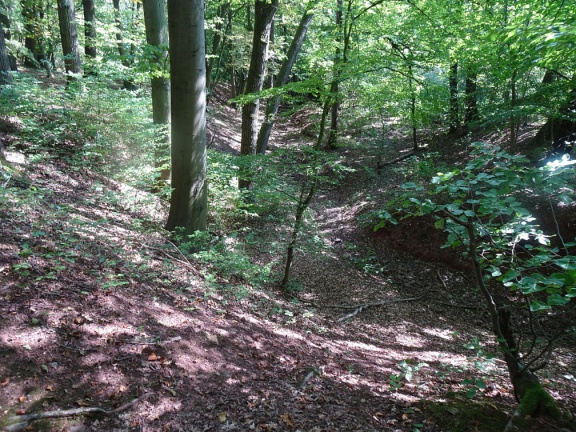 Kunstgraben - östlich Kunstteich (Foto Sauerzapfe - 2019)