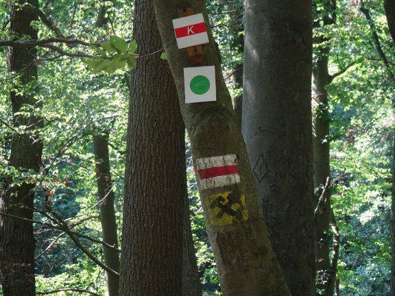 Weg-Markierungen (Foto Sauerzapfe - 2019)