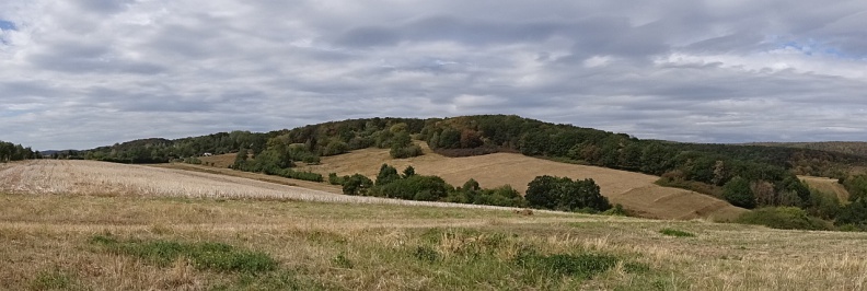 Nahe Constantia - Panorama nach Norden (Foto Sauerzapfe - 2019).jpg