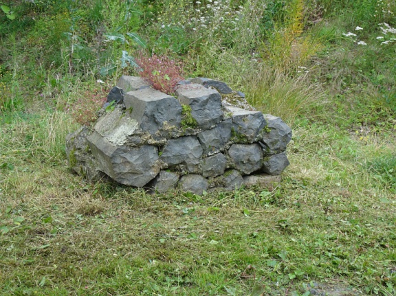 DSC07016 20