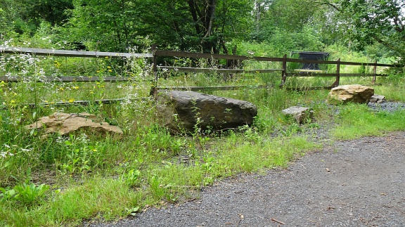 DSC06906 20