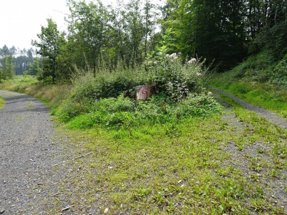 DSC06975 20