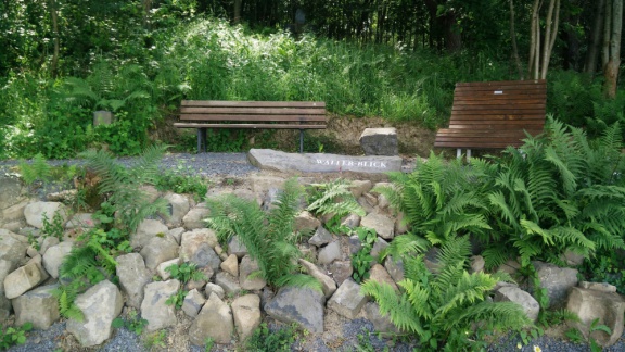 Bild 10 - Ruhebank am Wäller Blick