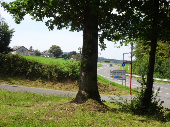 Bild 11 - Am Parkplatz Forum - im Hintergrund Willscheid
