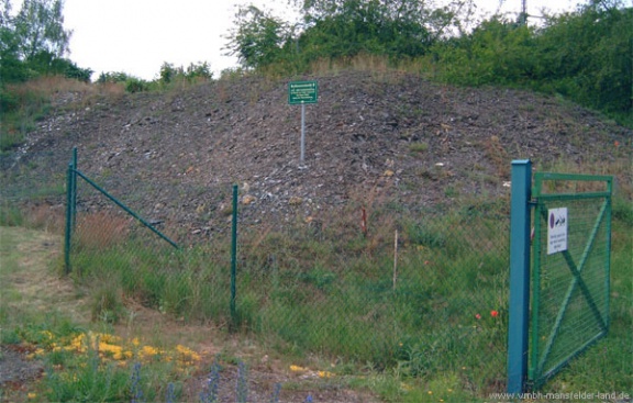 Bild 05 - Halde Roßkunstschachtes bzw. Schacht P in Wolferode im Jahr 2008  Foto: G. Roswora