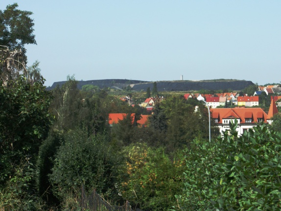 Halde der Krughütte (Foto Sauerzapfe)